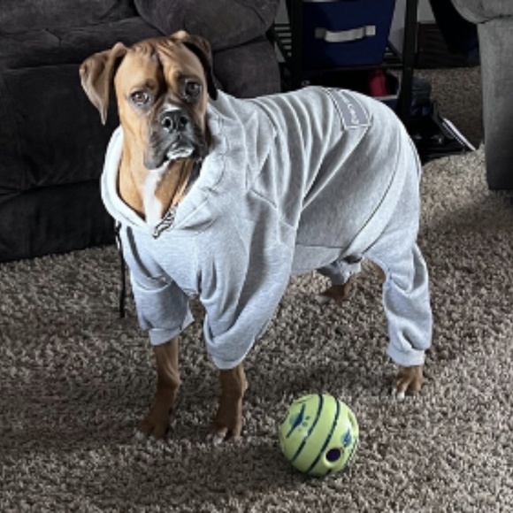 Boxer Winter Fleece Lined Sweatshirt suit hoodie Size 32 - Picture 2 of 6